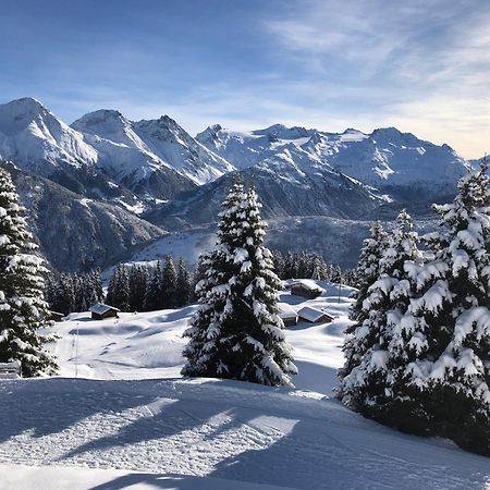 Hotel Alpsu Disentis Εξωτερικό φωτογραφία