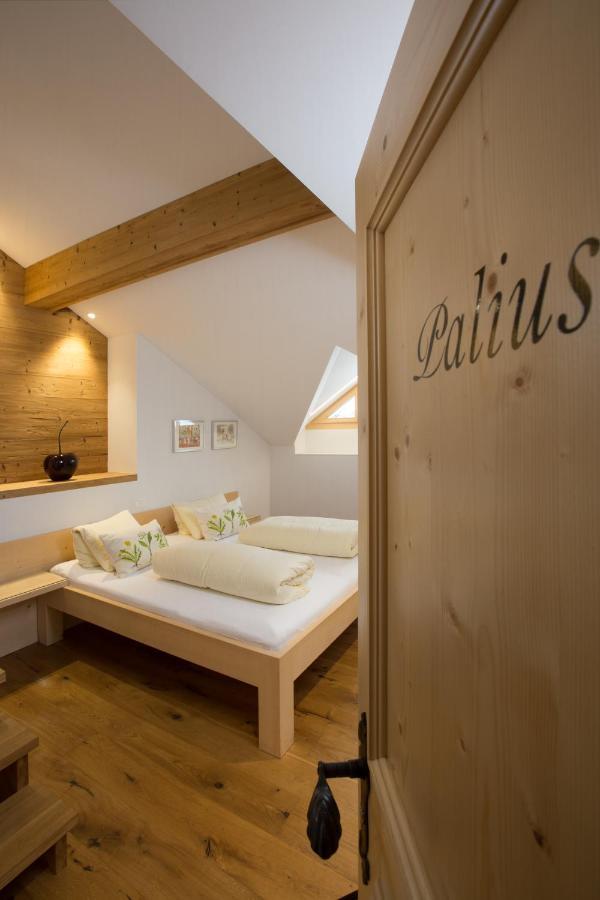 Hotel Alpsu Disentis Εξωτερικό φωτογραφία